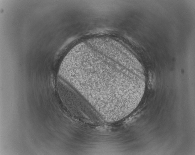 X0000073891206200609082114