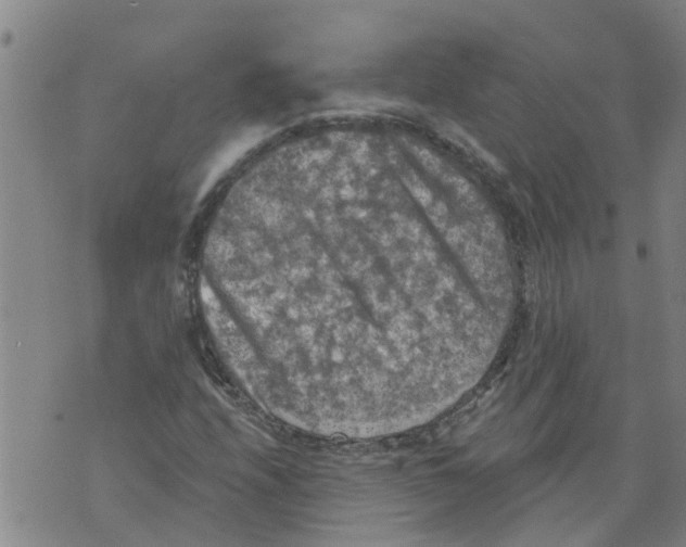 X0000073891208200609082114