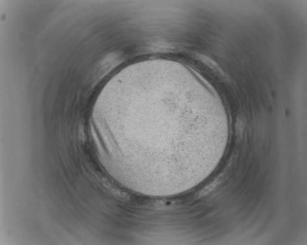 X0000073891209200609082114