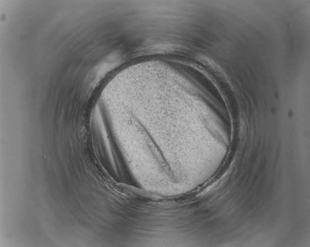 X0000073891210200609082114