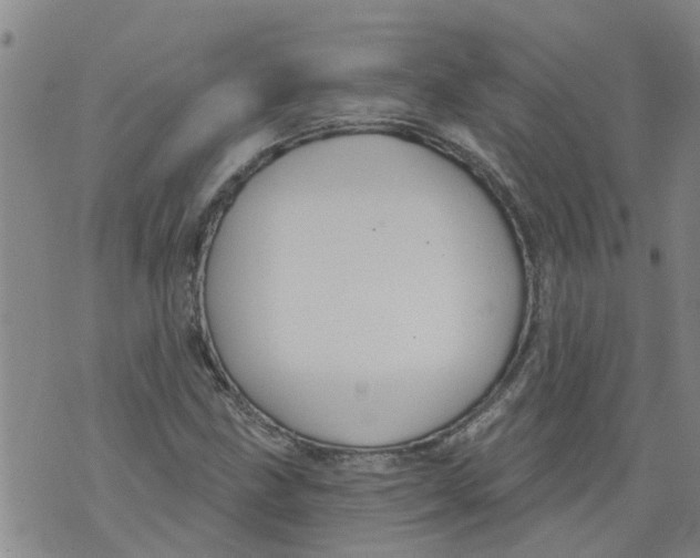 X0000073891211200609082114