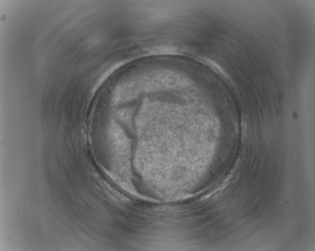 X0000073891212200609082114