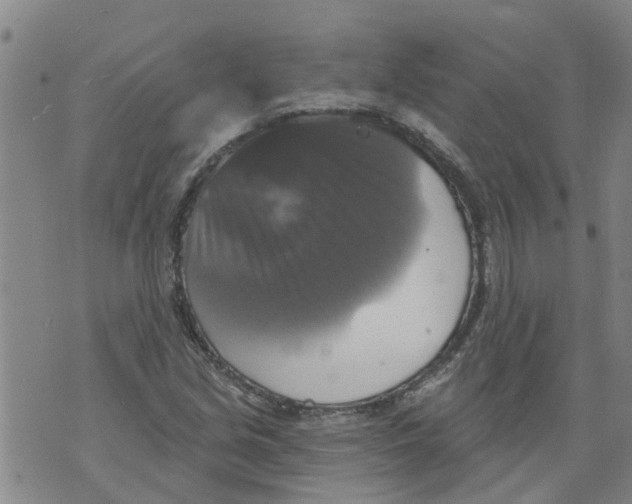 X0000073891213200609082114