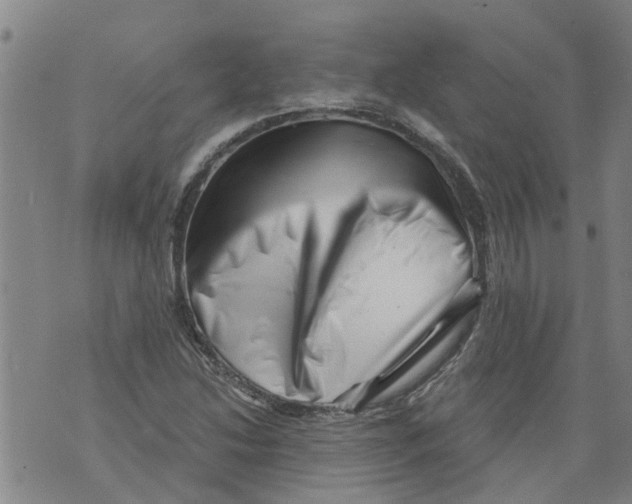 X0000073891214200609082114