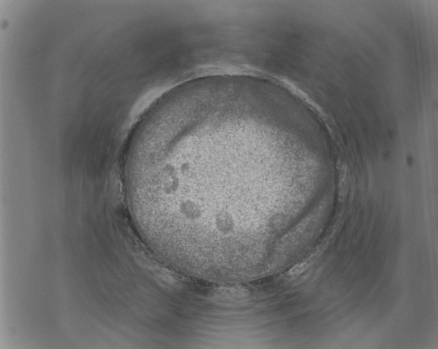 X0000073891215200609082114