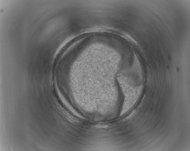 X0000073891216200609082114