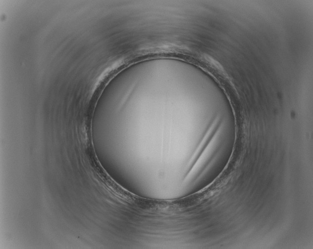 X0000073891218200609082114