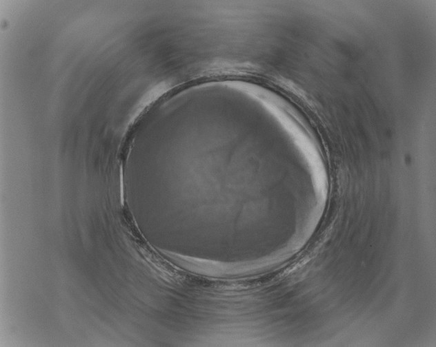 X0000073891219200609082114