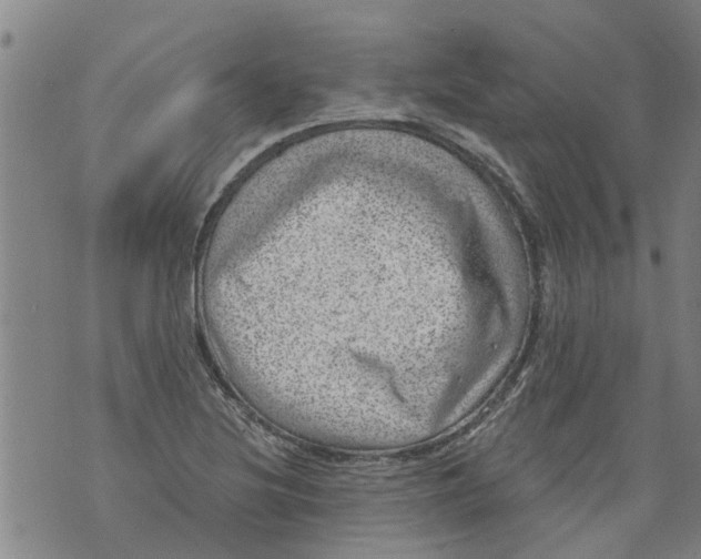 X0000073891220200609082114