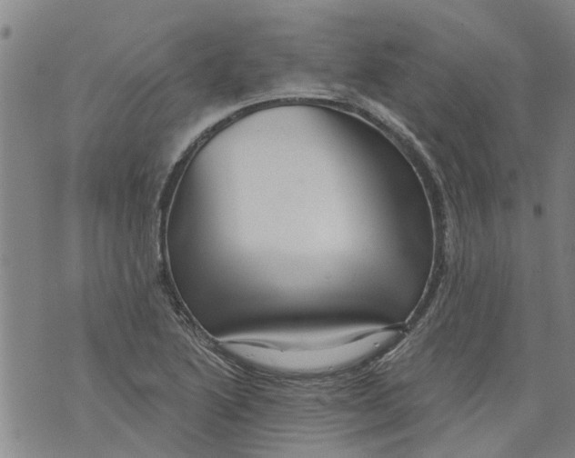 X0000073891222200609082114