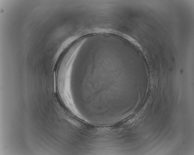 X0000073891223200609082114