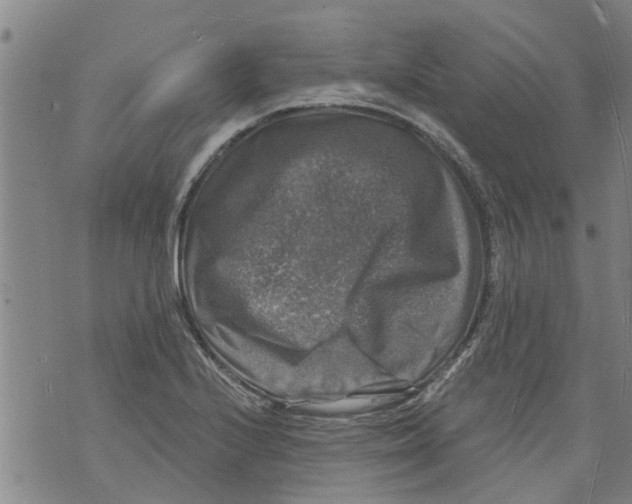 X0000073891224200609082114