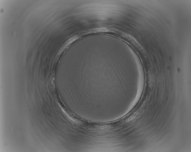 X0000073891225200609082114