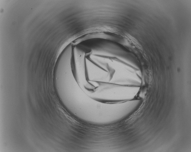 X0000073891226200609082114