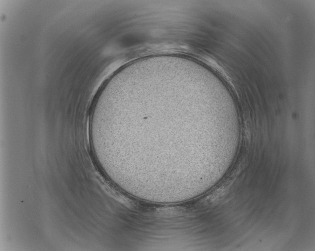 X0000073891227200609082114