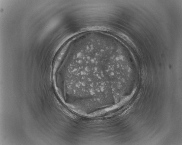 X0000073891228200609082114