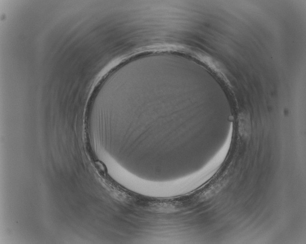 X0000073891229200609082114