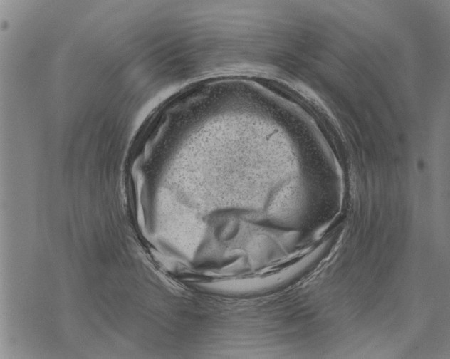 X0000073891230200609082114