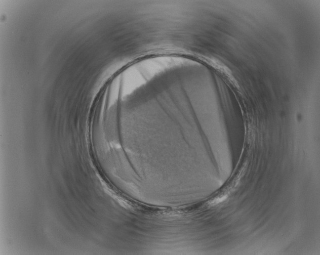 X0000073891231200609082115