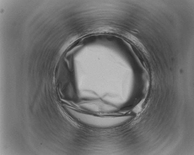 X0000073891234200609082115