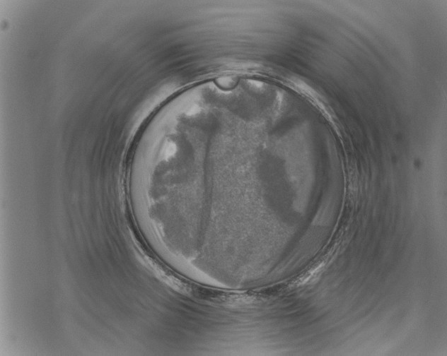 X0000073891235200609082115