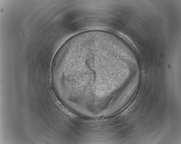 X0000073891236200609082115