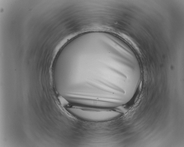 X0000073891238200609082115