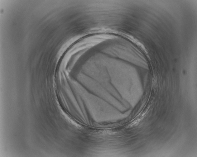 X0000073891239200609082115