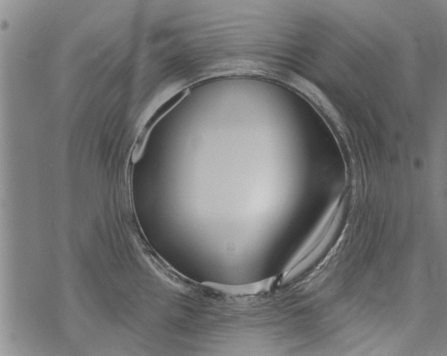 X0000073891242200609082115