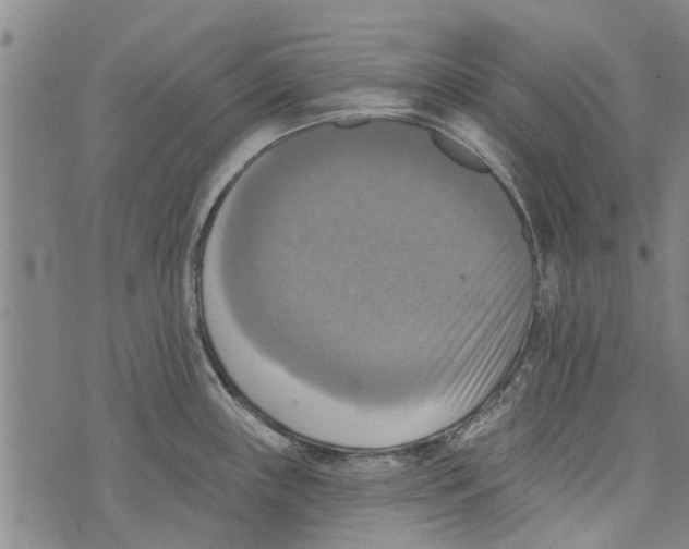 X0000073891243200609082115