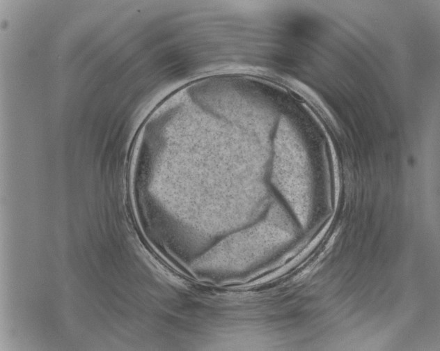 X0000073891244200609082115