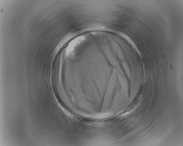 X0000073891245200609082115