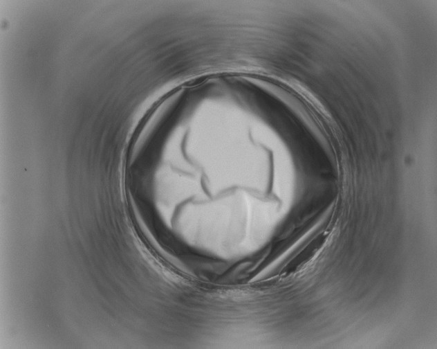 X0000073891246200609082115