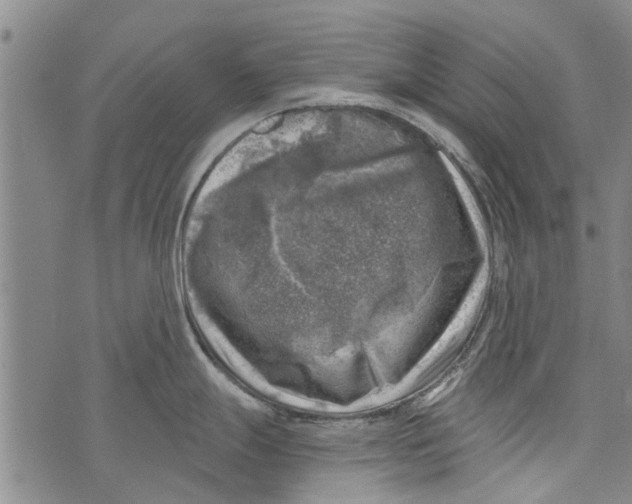 X0000073891247200609082115