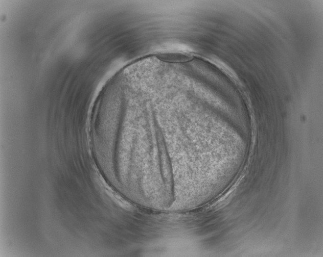 X0000073891248200609082115