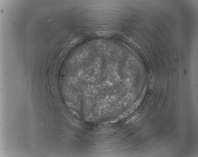 X0000073891249200609082114