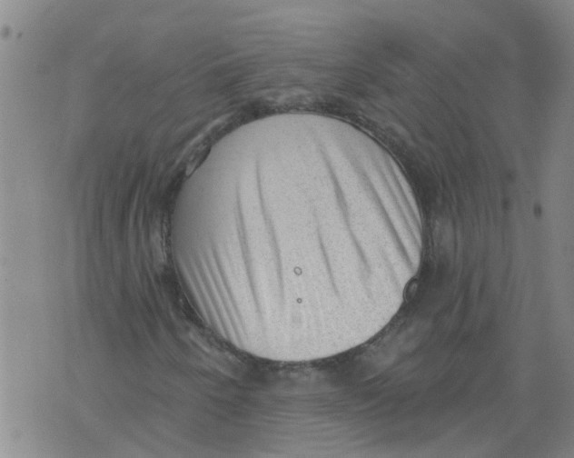 X0000073891250200609082114