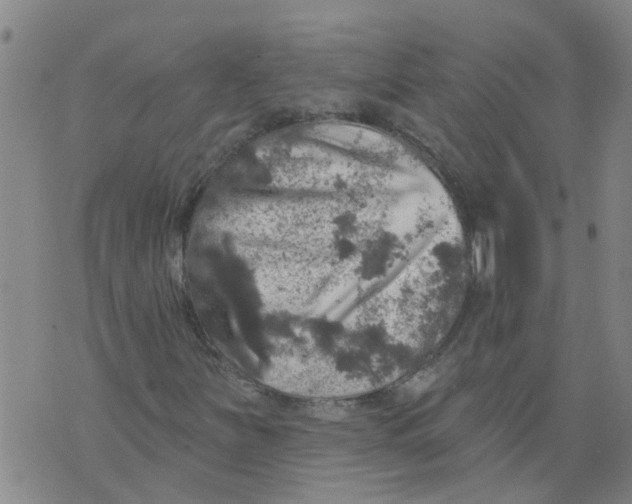 X0000073891251200609082114