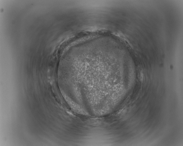 X0000073891253200609082114