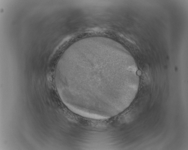 X0000073891254200609082114