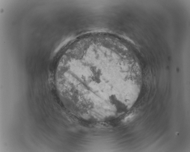 X0000073891255200609082114