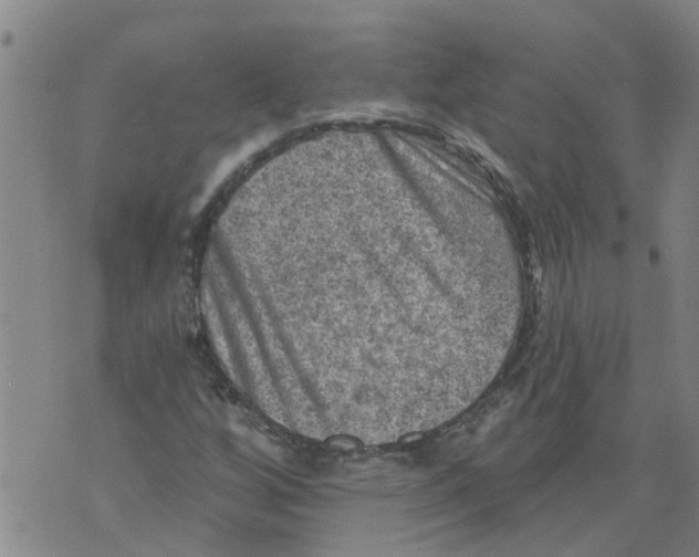 X0000073891256200609082114