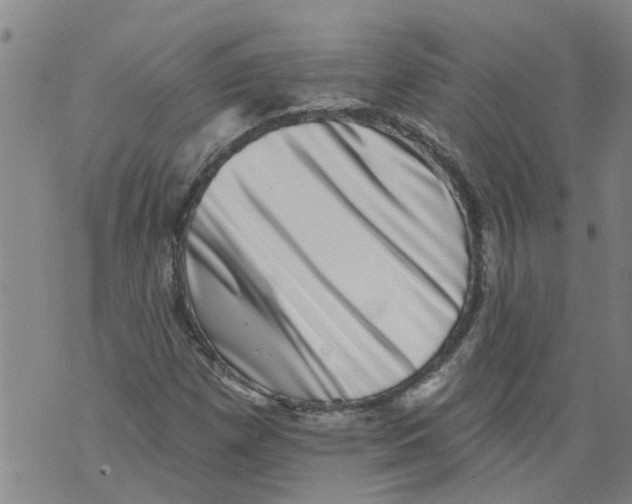 X0000073891257200609082114