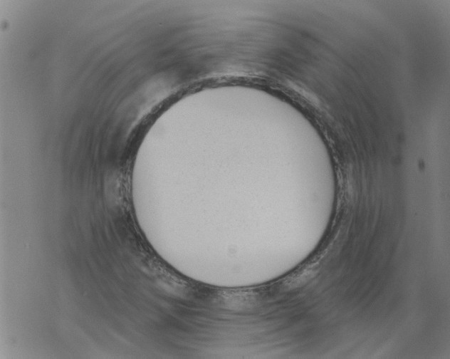 X0000073891258200609082114