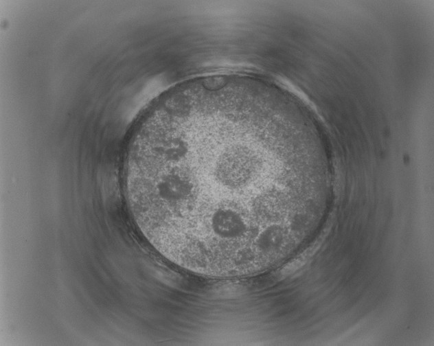 X0000073891259200609082114