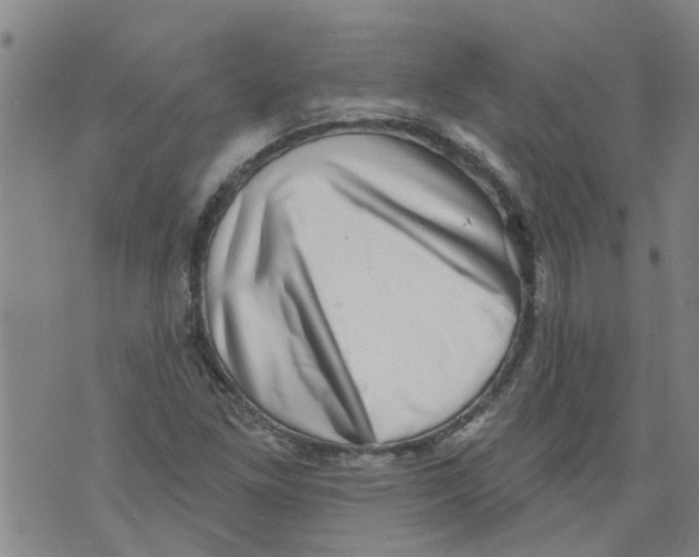 X0000073891261200609082114