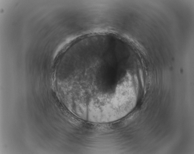 X0000073891262200609082114