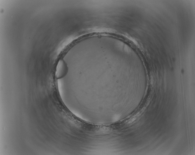 X0000073891263200609082114