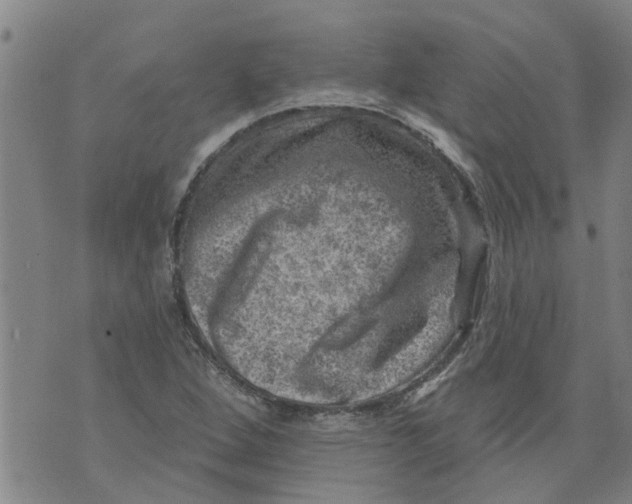 X0000073891264200609082114