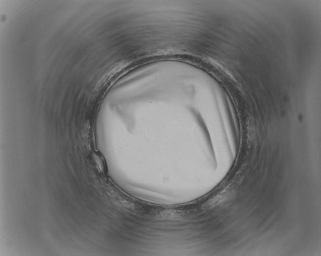 X0000073891265200609082114